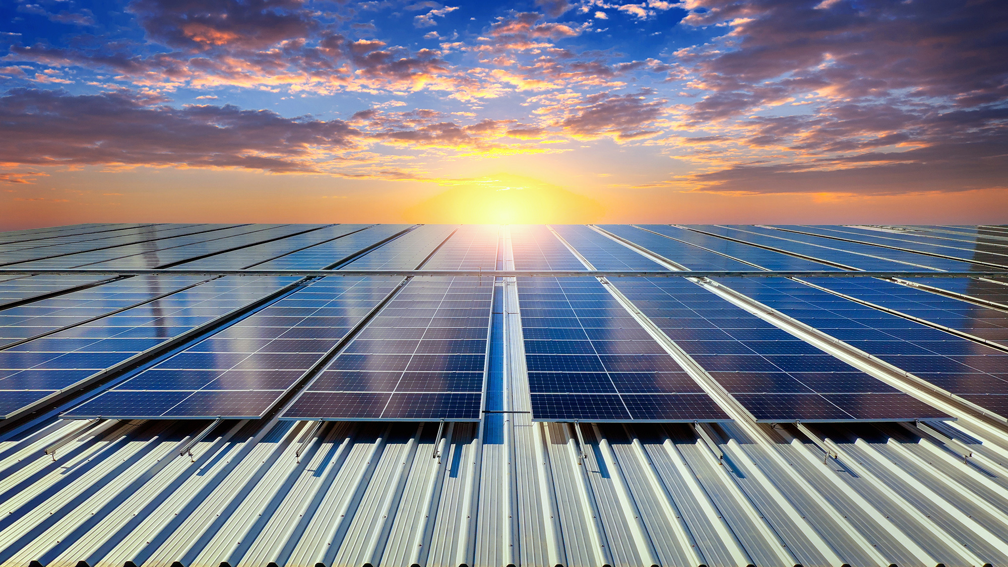 Paneles solares al atardecer